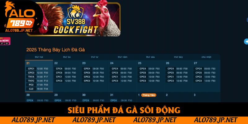 TRANG CHỦ 44 Siêu phẩm đá gà sôi động